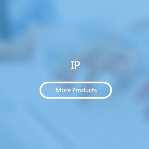 IP