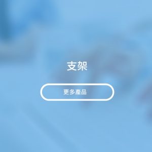 支架