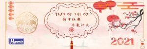 CNY 2021