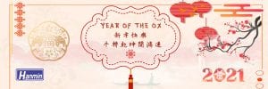 CNY 2021